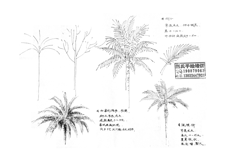 沈阳手绘 沈阳手绘